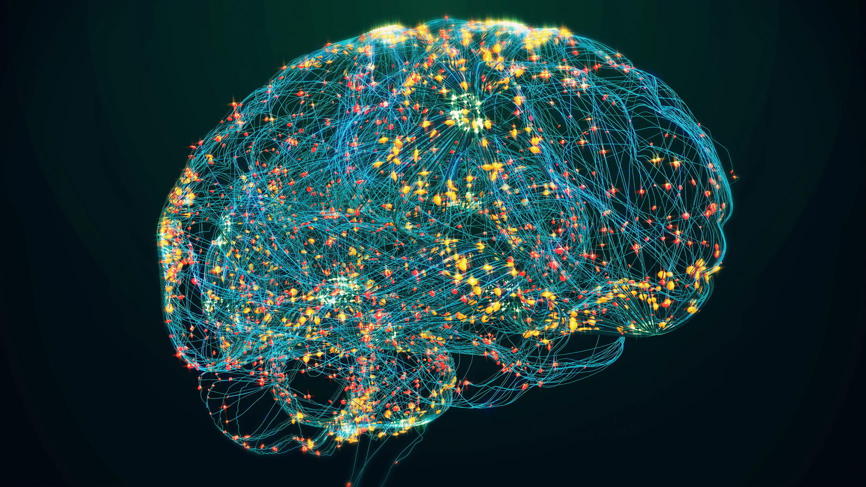 human brain scan showing brain activity